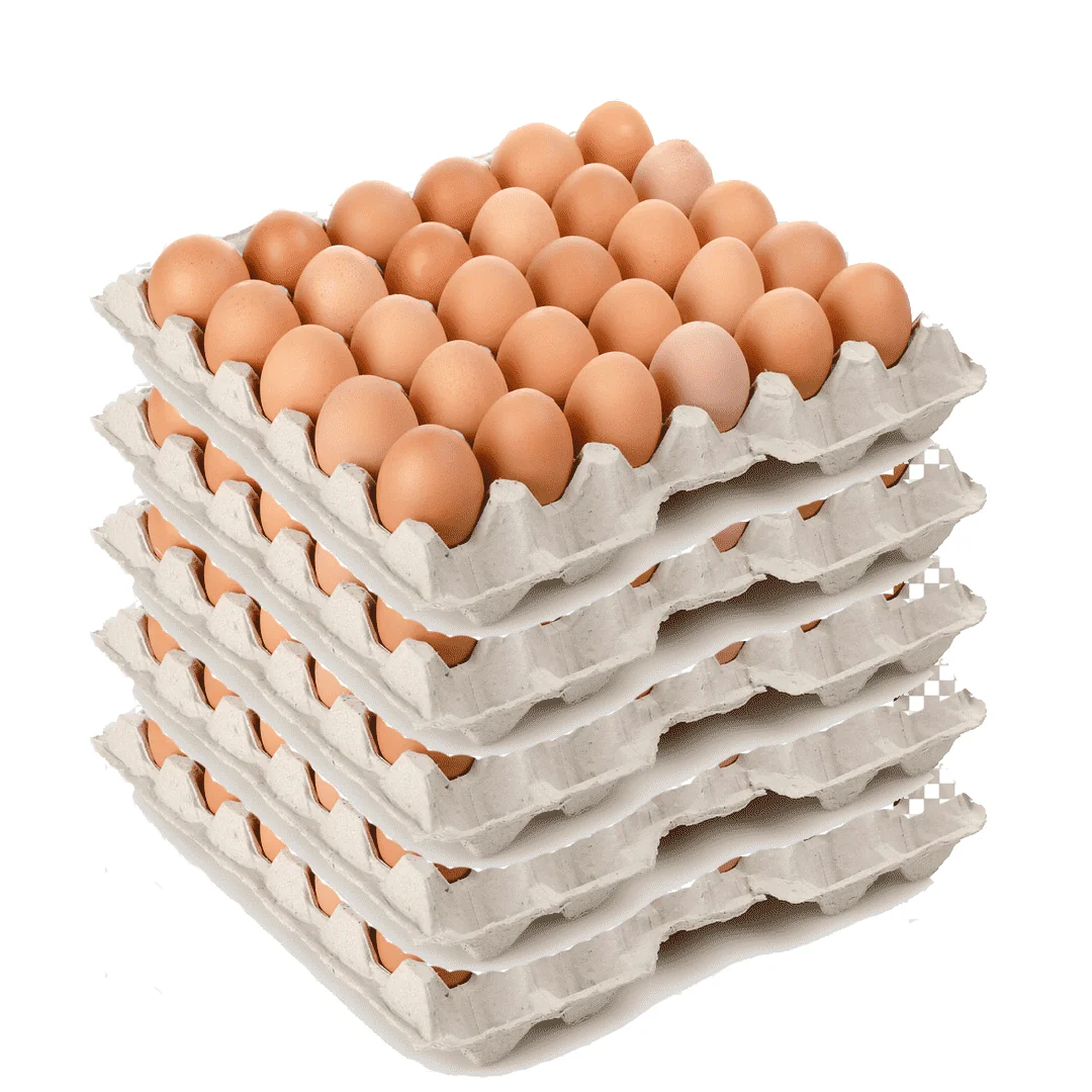 Huevos (Bandeja 30 un.)